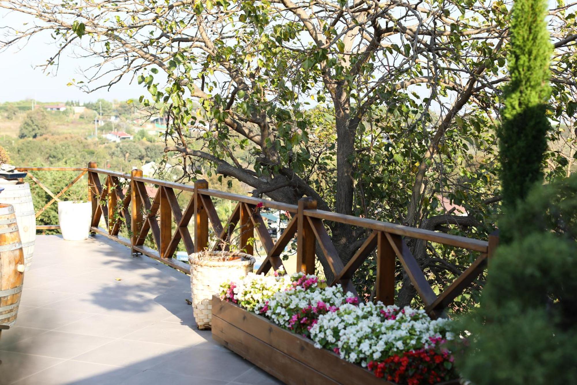 Mavi At Hotel Blue Horse Gumusdere Exterior photo
